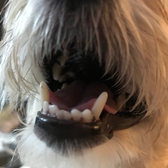 Meet your Posher, Melissa - Picture 7 of 11